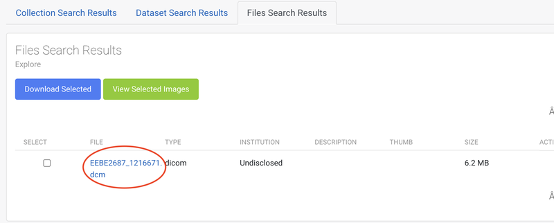 File Search Results